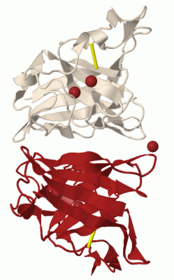 Image Biol.Unit 1 - manually