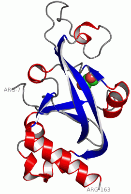 Image Asym./Biol. Unit - manually