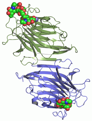 Image Asym./Biol. Unit - manually