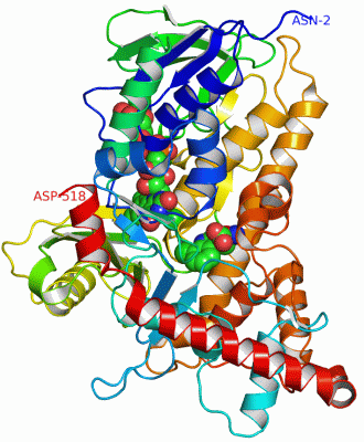 Image Asym.Unit - manually
