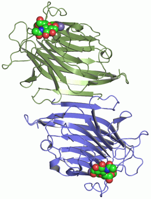 Image Asym./Biol. Unit - manually