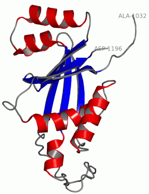 Image NMR Structure - manually