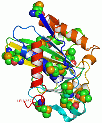 Image Asym./Biol. Unit - manually