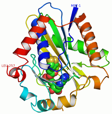 Image Asym./Biol. Unit - manually