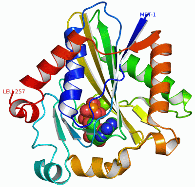 Image Asym./Biol. Unit - manually