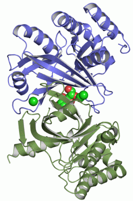 Image Asym./Biol. Unit - manually