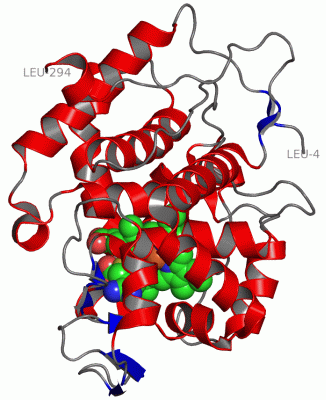 Image Asym./Biol. Unit - manually