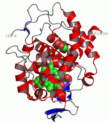 Image Asym./Biol. Unit - manually