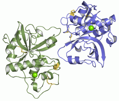 Image Asym./Biol. Unit - manually