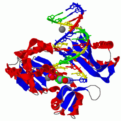 Image Biol.Unit 1 - manually