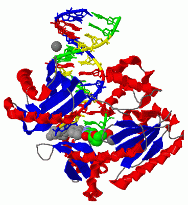 Image Biol.Unit 1 - manually