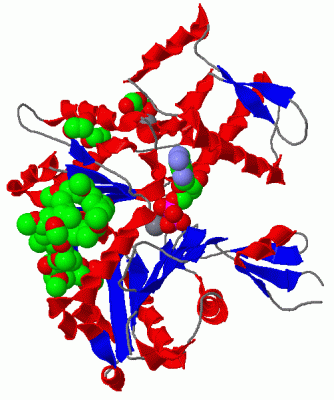 Image Asym./Biol. Unit - manually