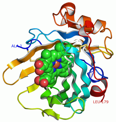 Image Asym./Biol. Unit - manually