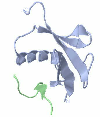 Image NMR Structure - manually