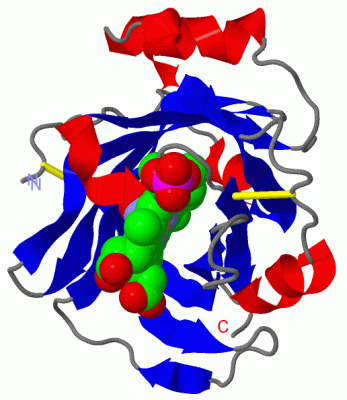 Image Asym./Biol. Unit - manually