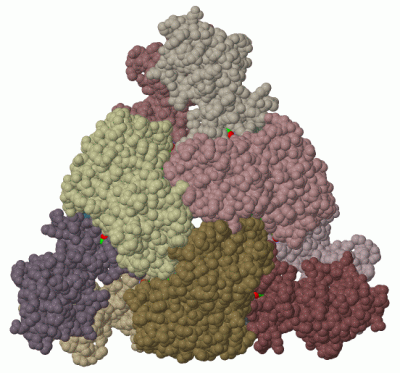 Image Biol.Unit 1 - manually