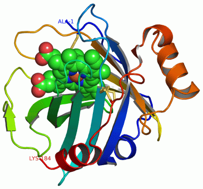 Image Asym./Biol. Unit - manually