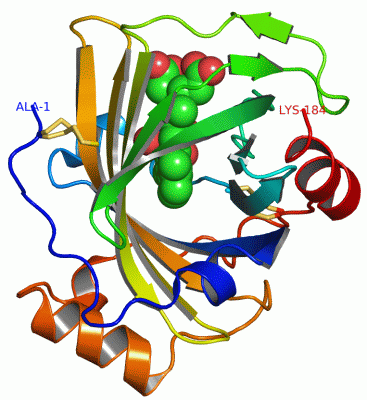 Image Asym./Biol. Unit - manually