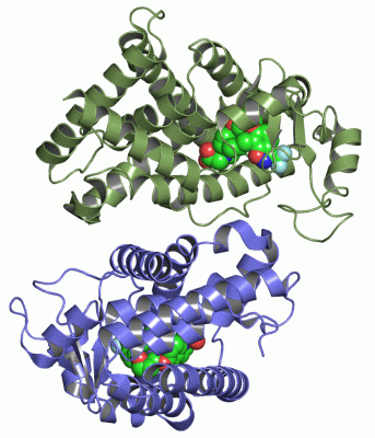 Image Asym./Biol. Unit - manually