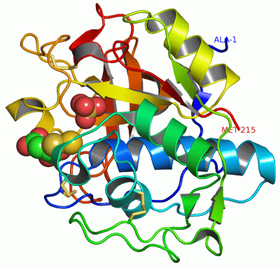 Image Asym./Biol. Unit - manually