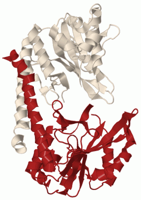 Image Biol.Unit 1 - manually