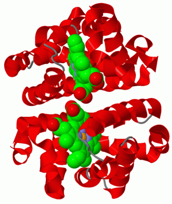 Image Asym./Biol. Unit - manually