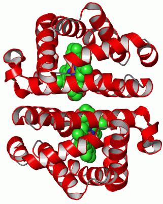 Image Asym./Biol. Unit - manually