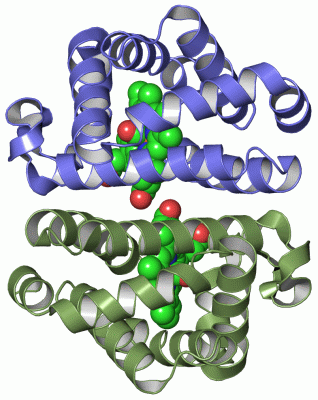 Image Asym./Biol. Unit - manually