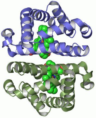 Image Asym./Biol. Unit - manually