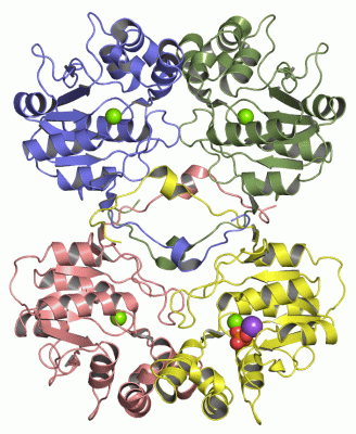 Image Asym./Biol. Unit - manually