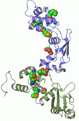 Image Asym.Unit - manually
