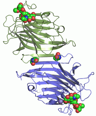 Image Asym./Biol. Unit - manually