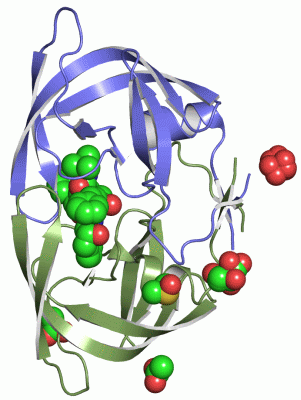 Image Asym./Biol. Unit - manually