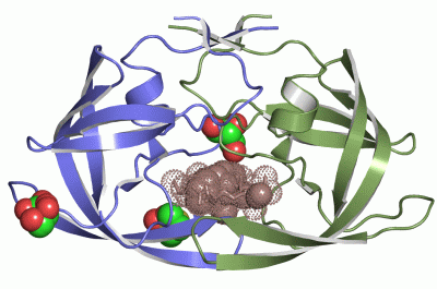 Image Asym./Biol. Unit - manually