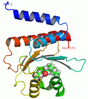 Image NMR Structure - manually