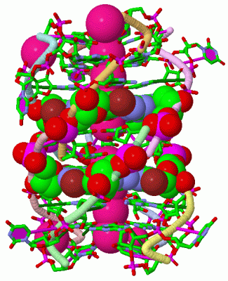 Image Asym./Biol. Unit - manually