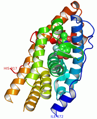 Image Asym./Biol. Unit - manually