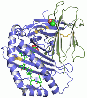 Image Asym./Biol. Unit - manually