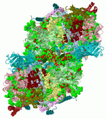 Image Asym./Biol. Unit - manually