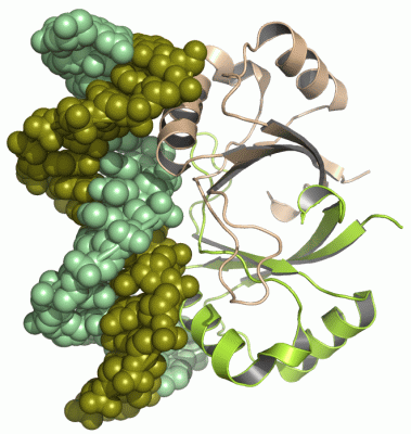 Image Asym./Biol. Unit - manually