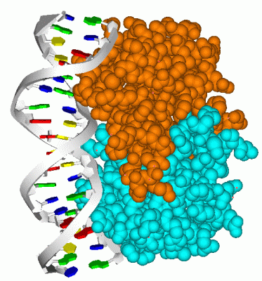 Image Asym./Biol. Unit - manually