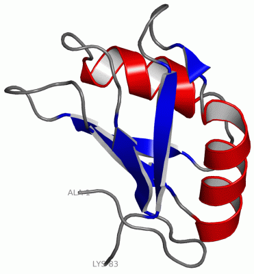 Image NMR Structure - manually