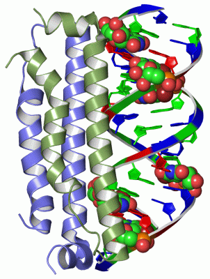 Image Asym./Biol. Unit - manually