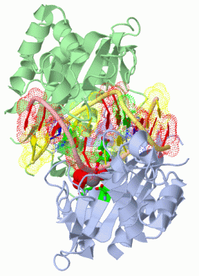 Image Asym./Biol. Unit - manually