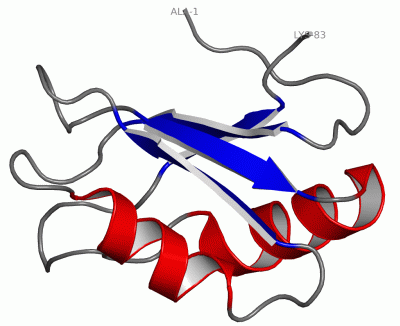 Image NMR Structure - manually