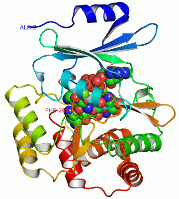 Image Asym./Biol. Unit - manually