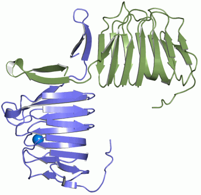 Image Asym./Biol. Unit - manually