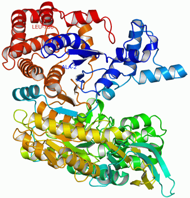 Image Asym./Biol. Unit - manually