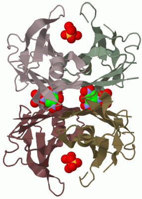 Image Biol.Unit 1 - manually