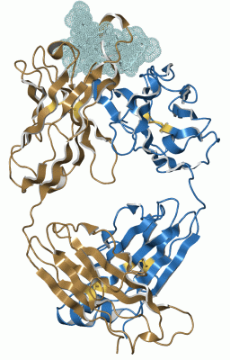 Image Asym./Biol. Unit - manually